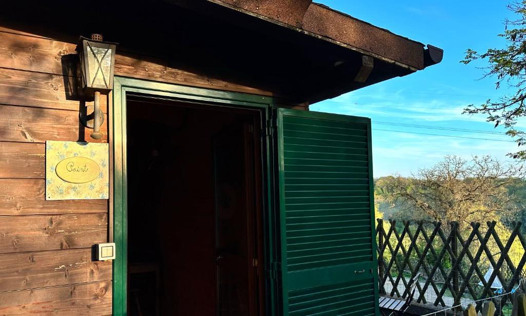 Night in the Wood Sorbo in Campagnano Di Roma, Italy