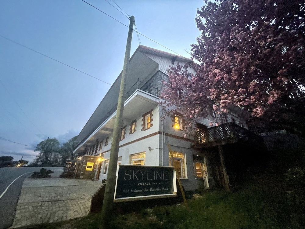 Skyline Village Inn - photo 128