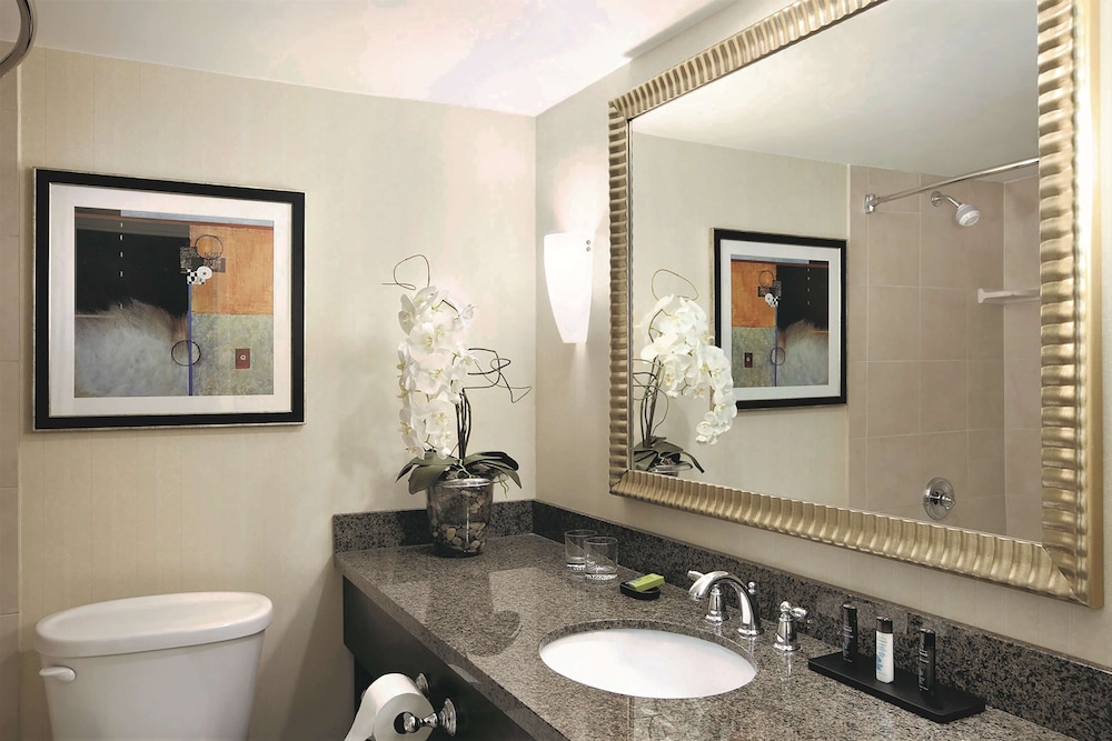 Embassy Suites Hotel Denver Tech Center - photo 13