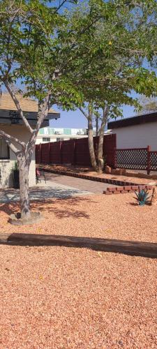 Red Rock Motel and Dam Motel - photo 87