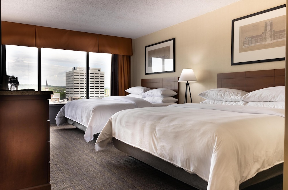 Hilton Knoxville - photo 16