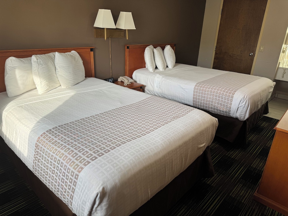 South Shore Inn - photo 2