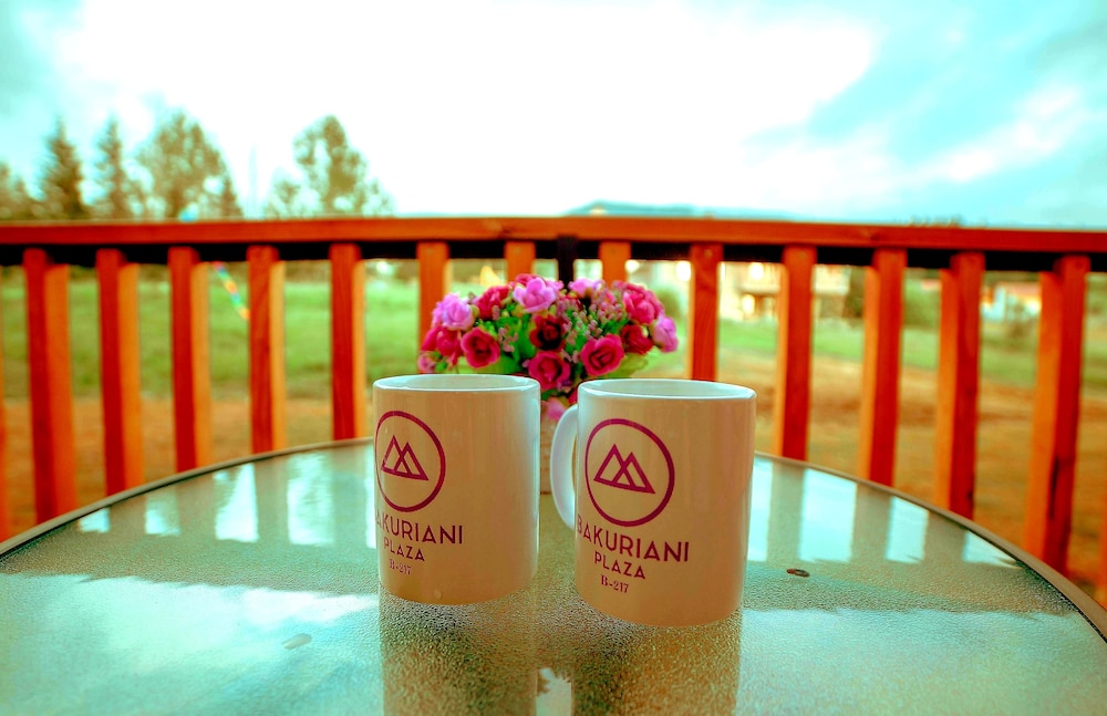 Bakuriani Plaza B 217 in Bakuriani, Georgia