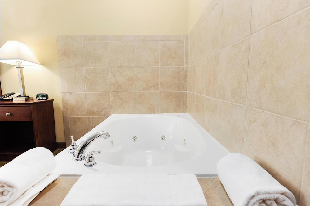 Cobblestone Hotel & Suites Knoxville - photo 27