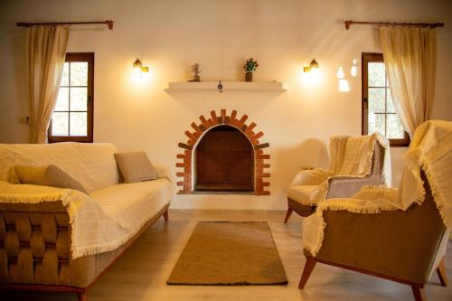 Okaliptus in Ula, Turkey