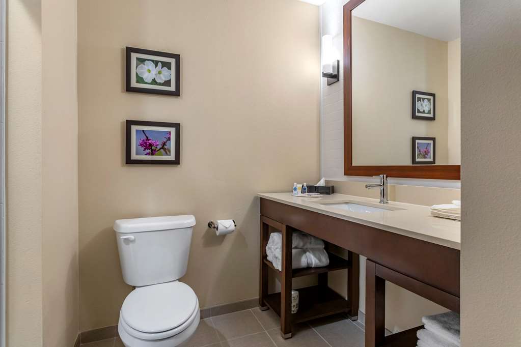 Comfort Inn & Suites Waller - photo 13