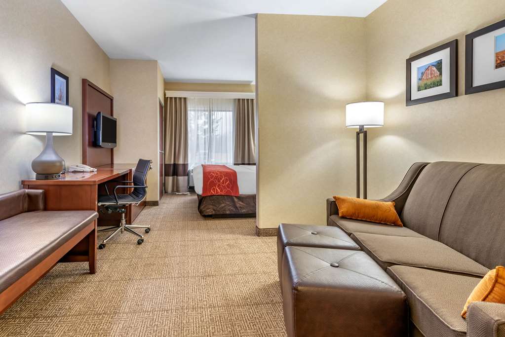 Comfort Suites Elkhart South - photo 18