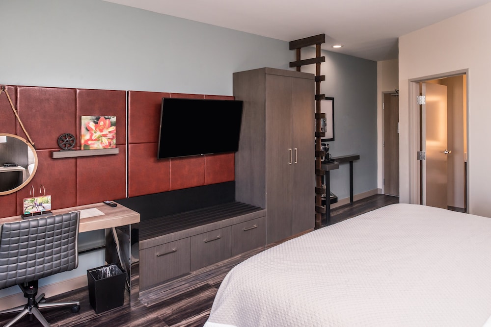 Hotel Indigo Frisco by IHG - photo 18