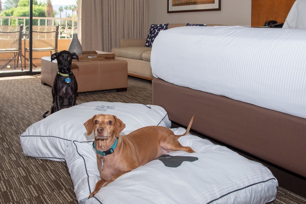 The Westin Rancho Mirage Golf Resort & Spa - photo 35