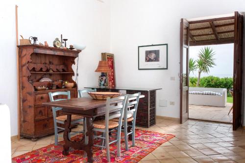 L Agave Salina — Malfa