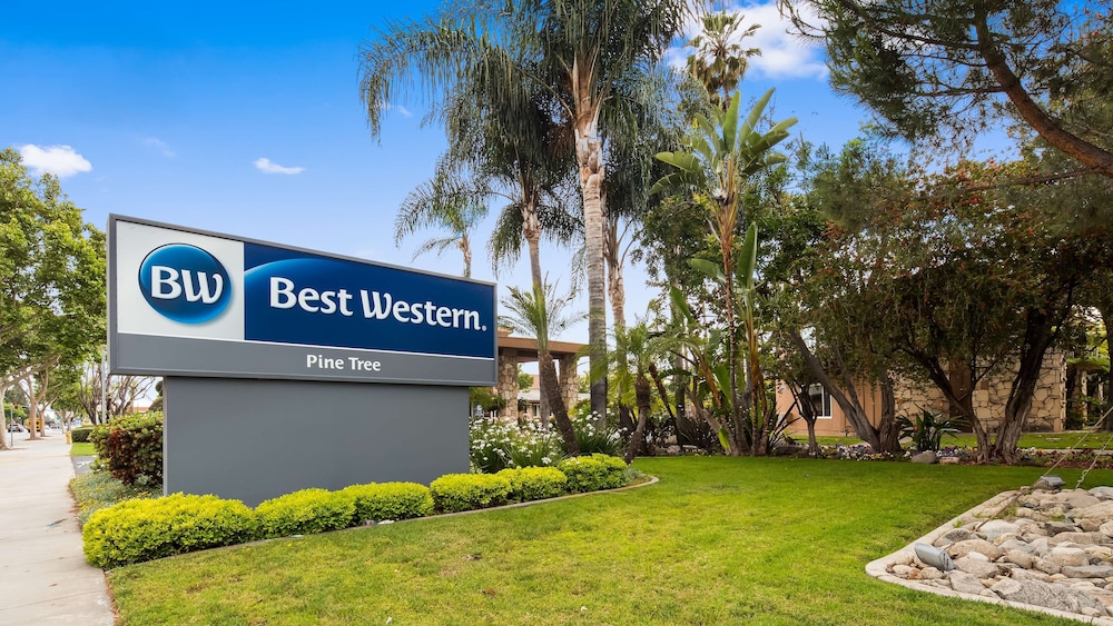 Best Western Pine Tree Motel - photo 20