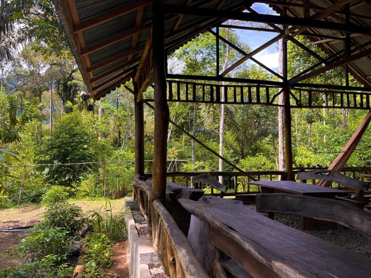 Batu Ridi Jungle - last minute hotel in Unknown City