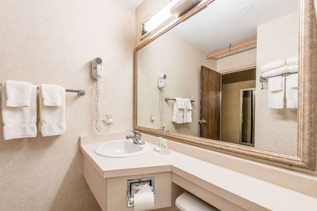 Quality Inn & Suites Brainerd - photo 10