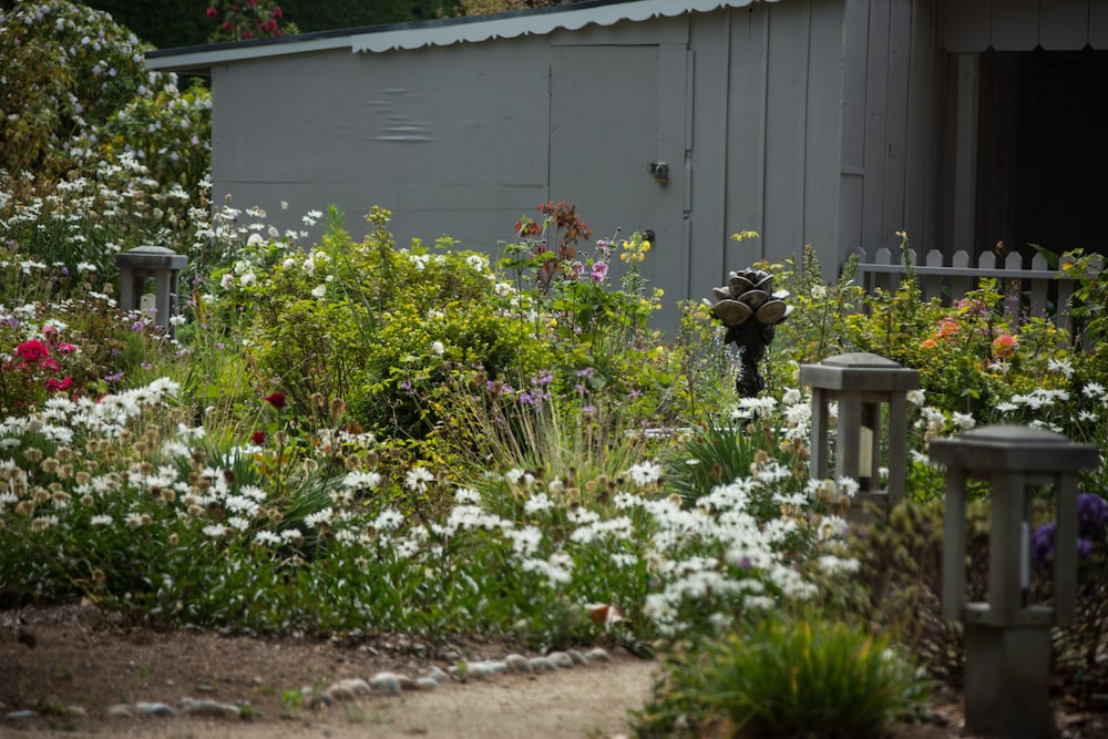 Carmel River Inn & Cottages - photo 75