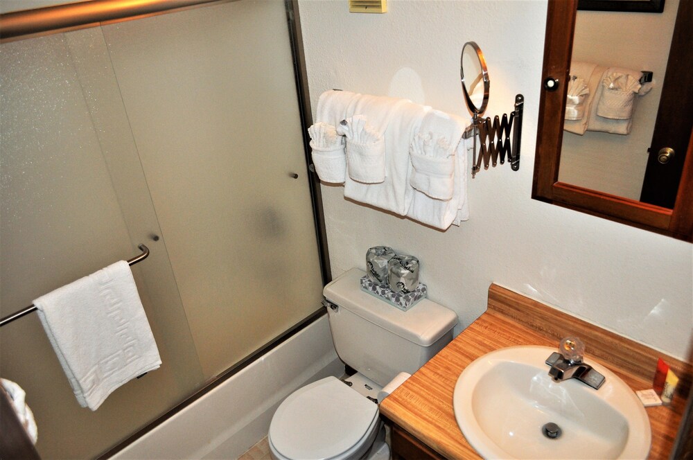 Buffalo Ridge 2 Bed Loft - photo 25