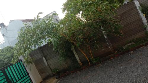 Thendralhomestay — Puducherry — photo 3