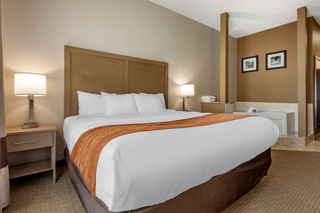 Comfort Inn & Suites Farmington Victor - photo 13