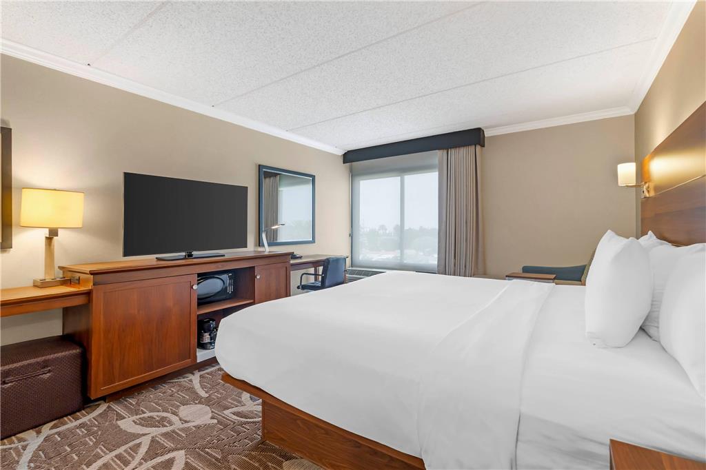 Comfort Inn Anaheim Resort - photo 15
