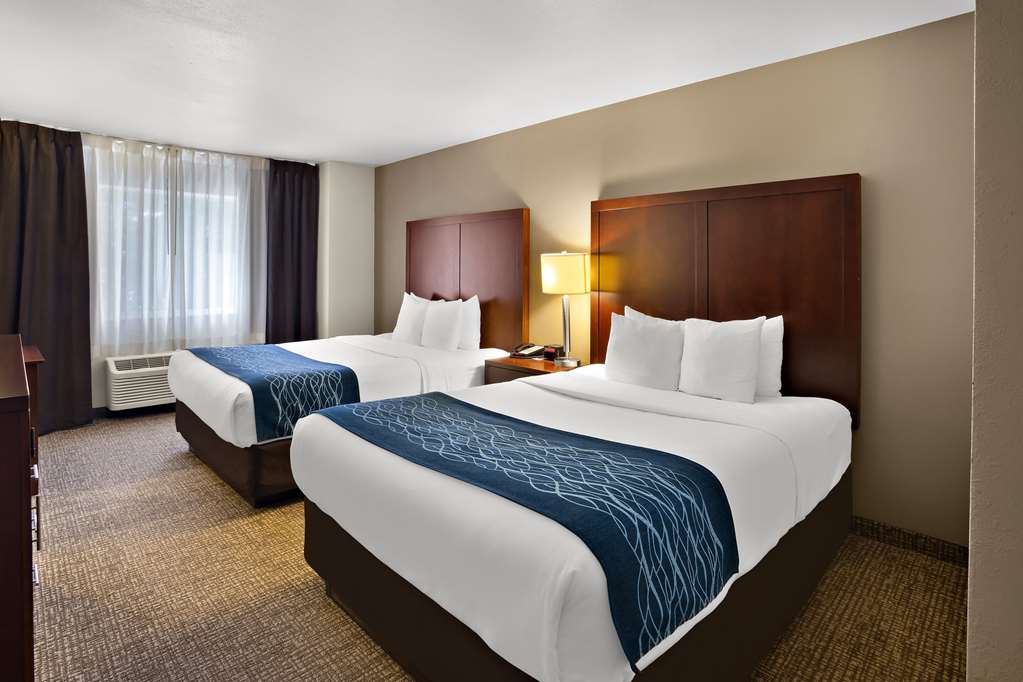 Comfort Inn Lacey Olympia - photo 7