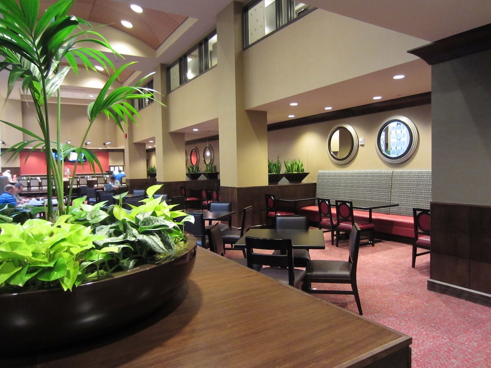 Embassy Suites by Hilton St. Louis Downtown - photo 37