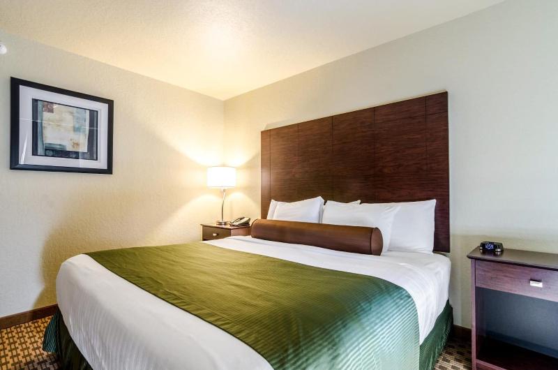 Cobblestone Inn & Suites Eaton - photo 12