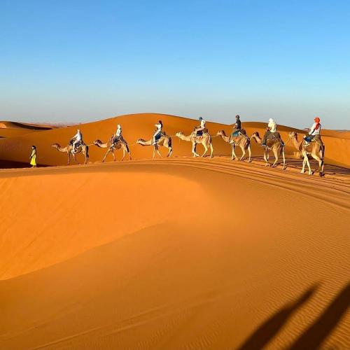 Bivouac la fibule des Dunes in Unknown City, Morocco