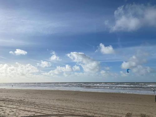 Bijzonder Bakkum — Castricum — photo 2