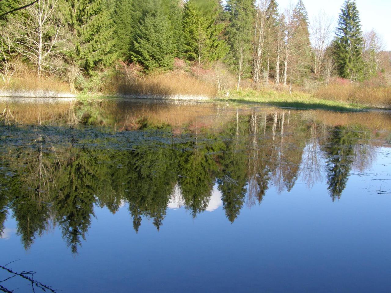 Apartman Tomic in Korenica, Croatia