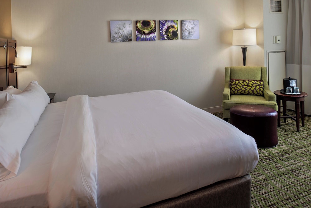 Marriott St. Louis West - photo 24