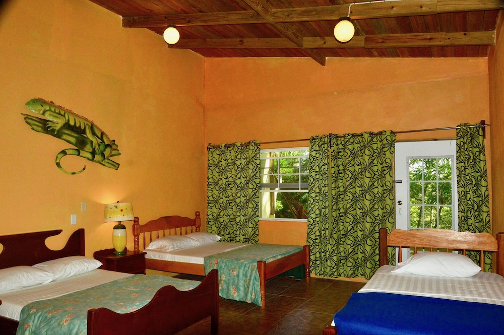 Howler Monkey Resort — Belize City — photo 4