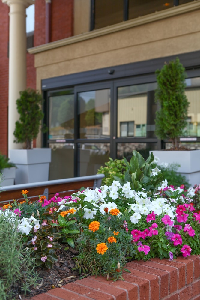 Holiday Inn Express Atlanta Emory University Area by IHG - photo 67