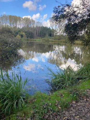 Alojamento Fonte do Mouchão in Anadia, Portugal