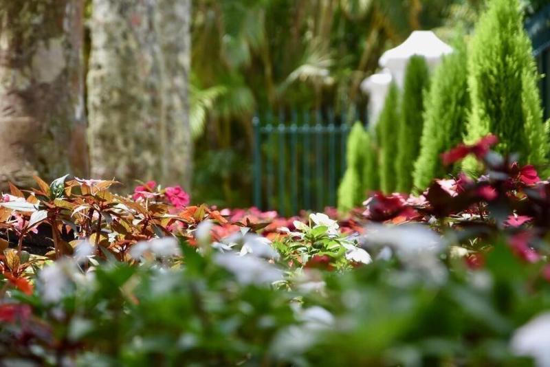 Hotel Reggia Catarina — Petropolis — photo 5