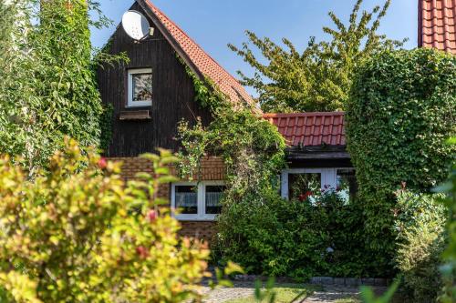 Ferienhaus Kornblume in Blankenburg, Germany