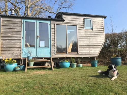 Secluded Shepherds Hut with a view and hot tub — hotel in Ashburton