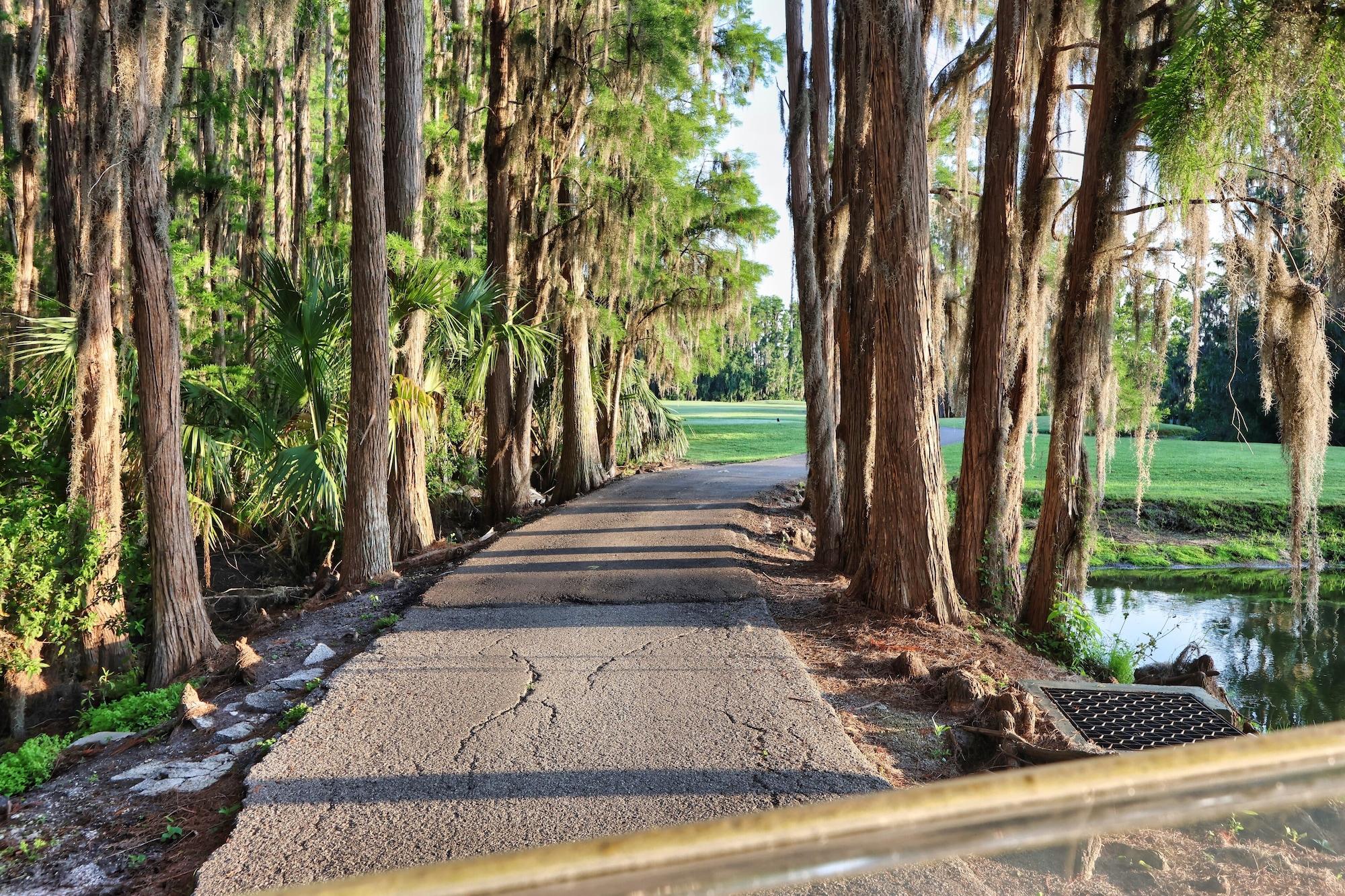 Saddlebrook Resort - last minute hotel in Tampa