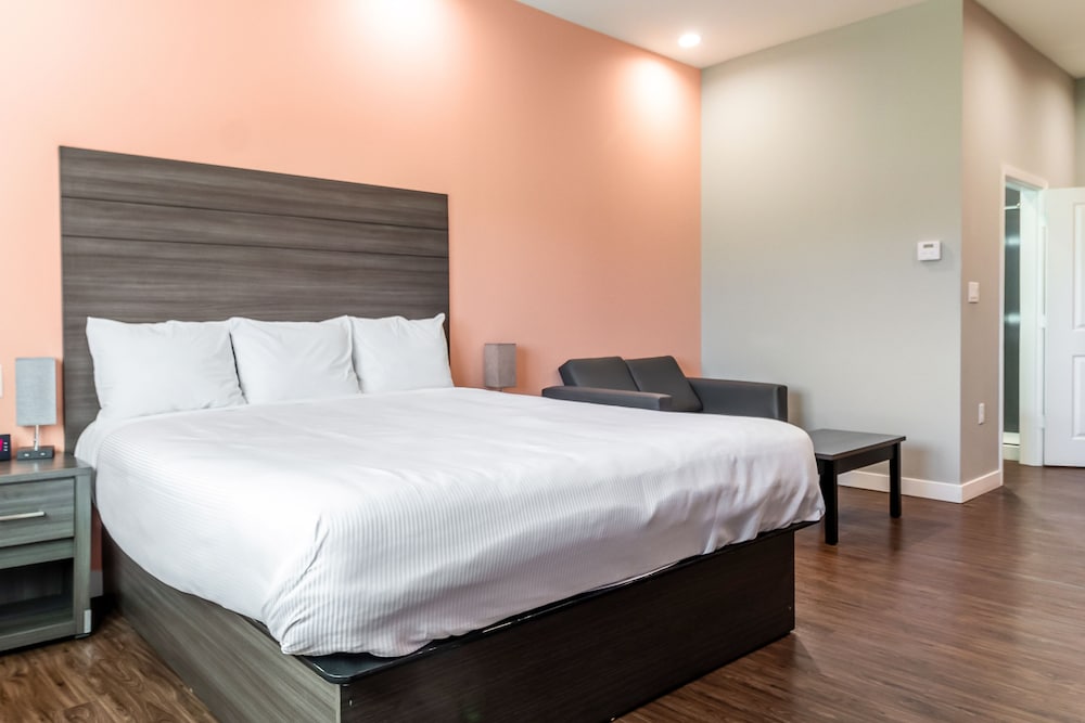 Scottish Inns & Suites Houston TX - photo 21