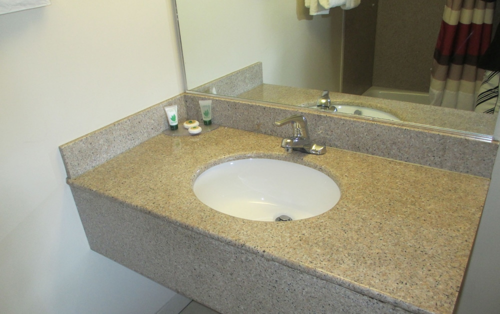 Regal Inn Chicago O'Hare Airport - photo 42