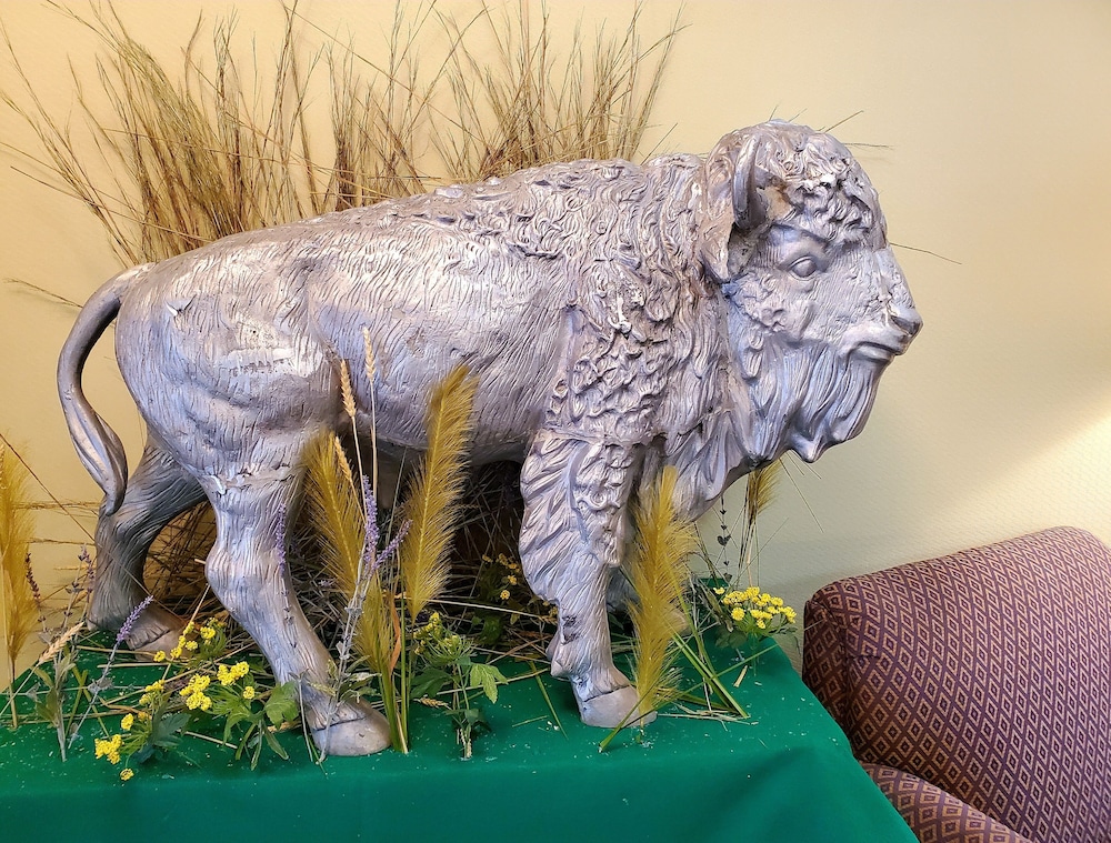 Bison Plains Lodge - photo 3