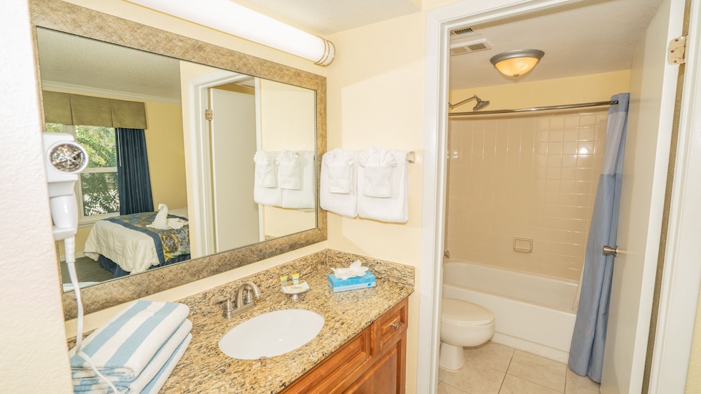 Blue Tree Resort at Lake Buena Vista - photo 43