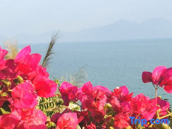 Huizhou Muyang small stack - last minute hotel in Huizhou