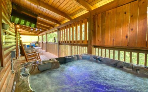 Bear Necessities in Sevierville, United States