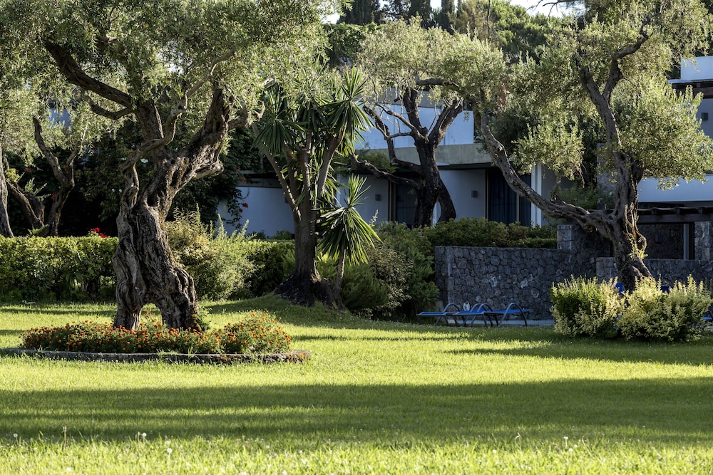 שטחי חוץ / גן