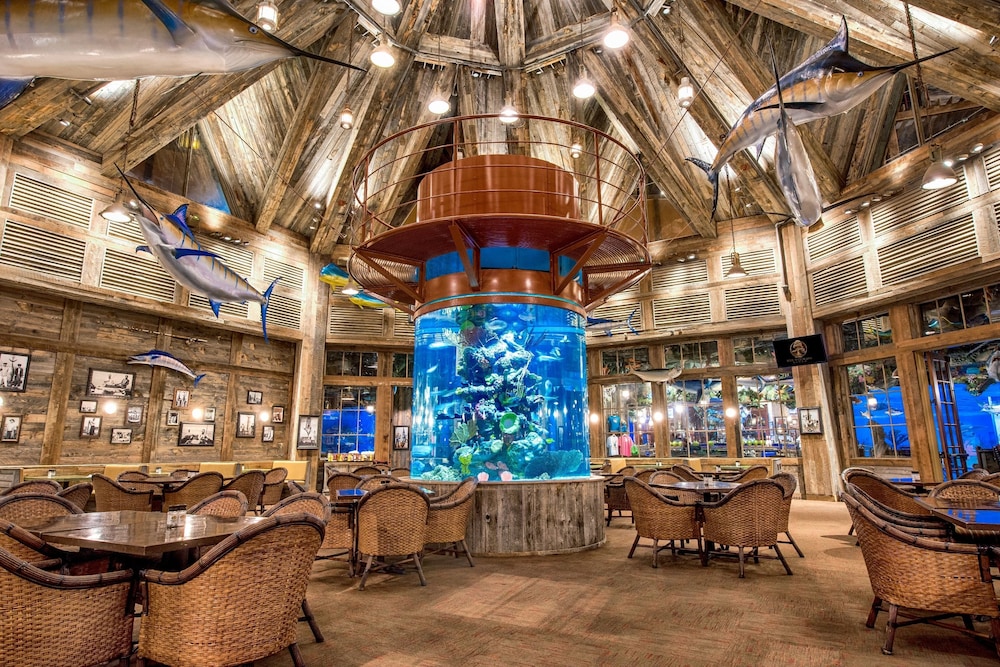 Big Cypress Lodge - photo 47