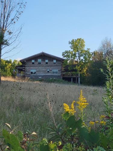 Firefly Creek Lodge - photo 13