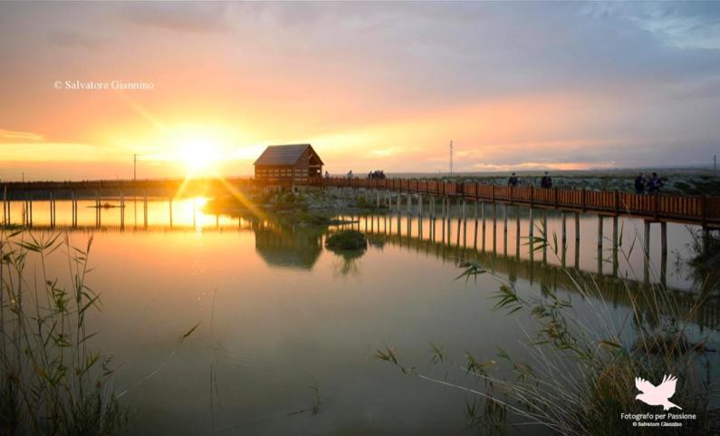 Casa caretta caretta — 4-Star Luxury Hotel in Manfredonia, Italy