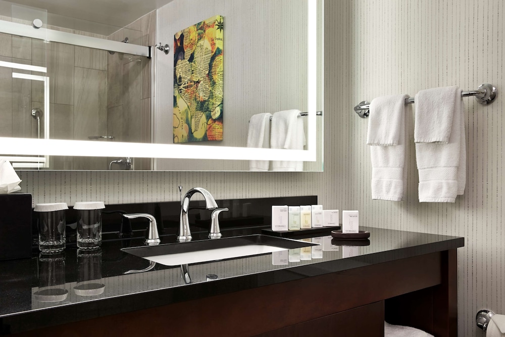 Embassy Suites by Hilton Washington DC Chevy Chase Pavilion - photo 27