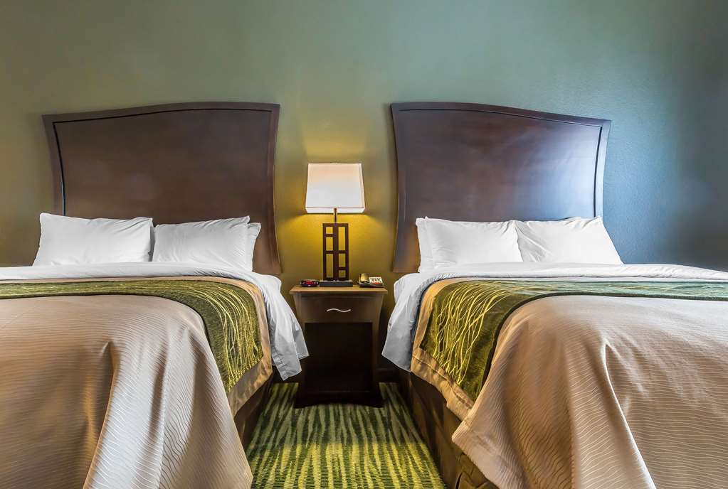 Comfort Inn & Suites Moore Oklahoma City - photo 23