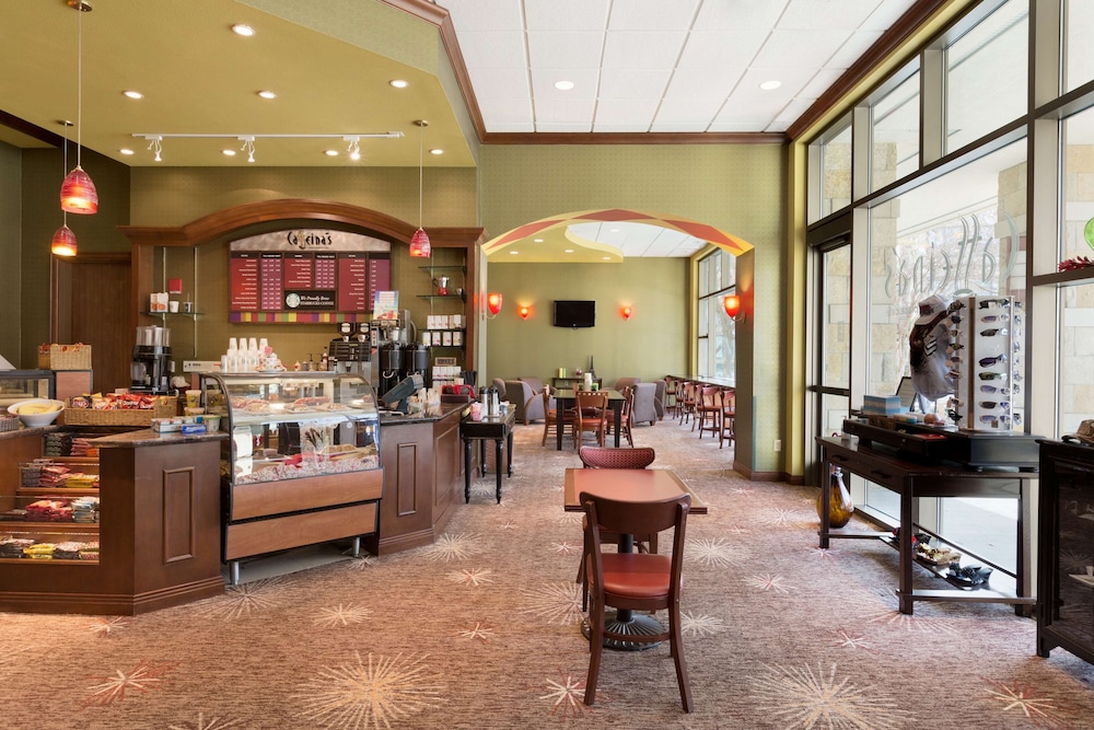 Embassy Suites by Hilton Dallas Frisco Hotel & Convention Center - photo 40