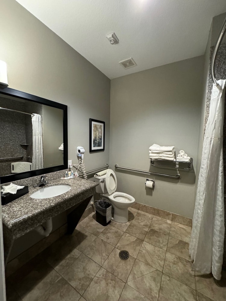 Comfort Suites at Katy Mills - photo 27